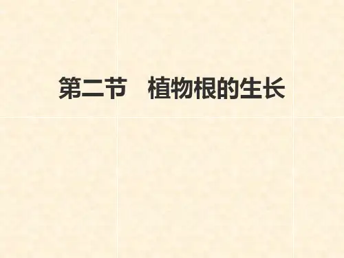 苏教版七年级生物上册 植物根的生长 课件