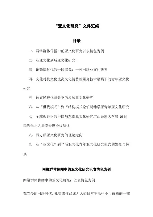 “亚文化研究”文件汇编