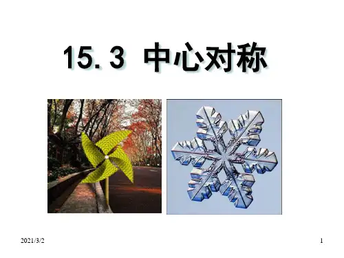 中心对称精选课件PPT