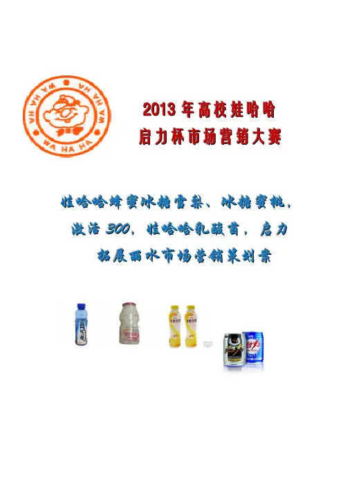 哇哈哈启力杯营销大赛一等奖作品