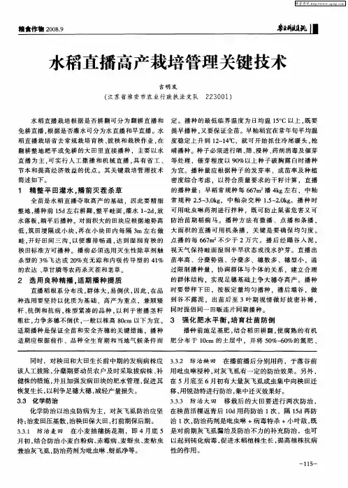 水稻直播高产栽培管理关键技术