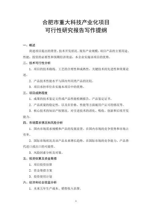 合肥市重大科技产业化项目可行性研究报告写作提纲