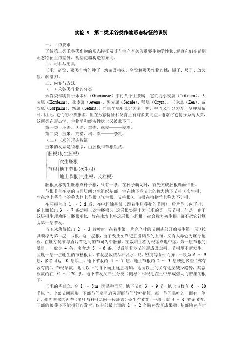 实验9第二类禾谷类作物形态特征的识别