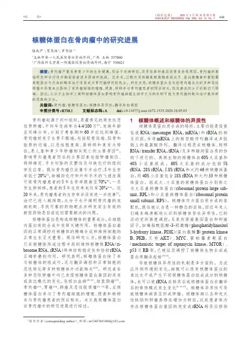 核糖体蛋白在骨肉瘤中的研究进展