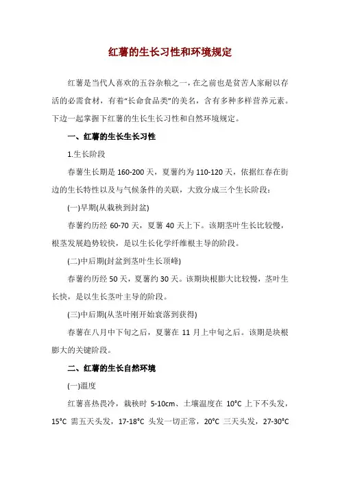红薯的生长习性和环境规定