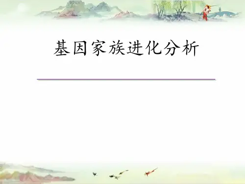 9-基因家族分析【兰州大学生物信息学】