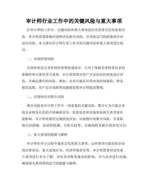 审计师行业工作中的关键风险与重大事项