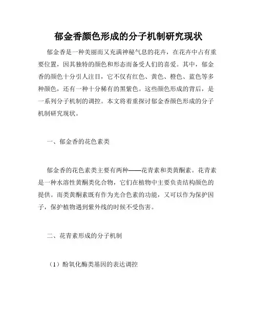郁金香颜色形成的分子机制研究现状
