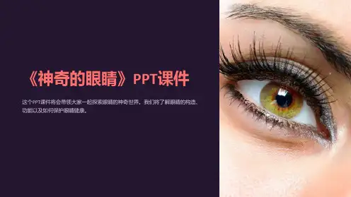 《神奇的眼睛》课件
