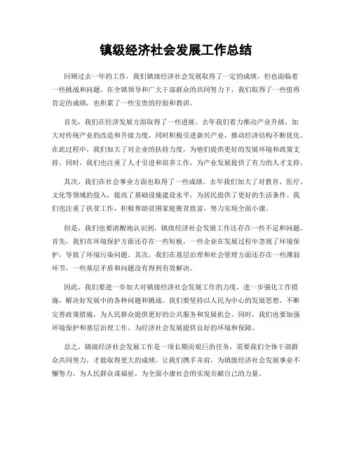 镇级经济社会发展工作总结
