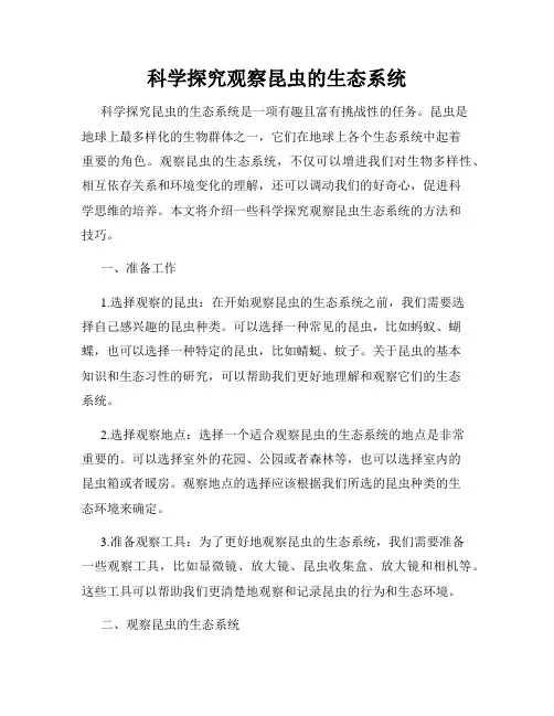 科学探究观察昆虫的生态系统