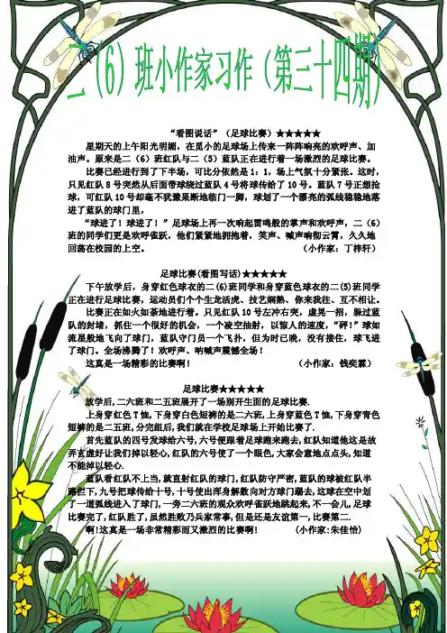 看图说话（足球比赛）
