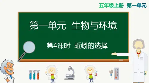 教科版五年级上册科学-蚯蚓的选择精品课件