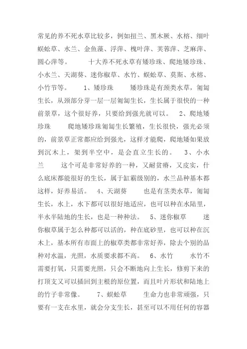 十大养不死阴性水草