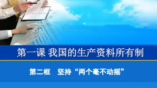 高中政治统编版必修二经济与社会坚持两个毫不动摇课件