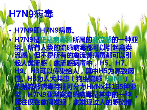 人感染H7N9禽流感防控知识院内感染知识培训课件教学教材