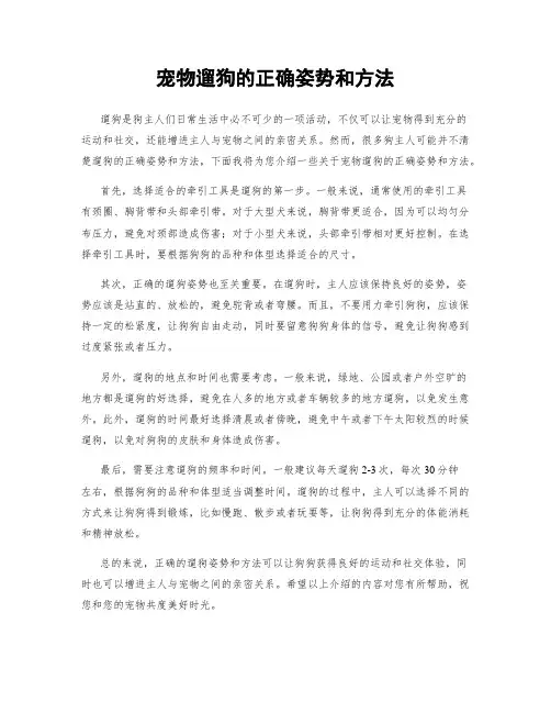 宠物遛狗的正确姿势和方法