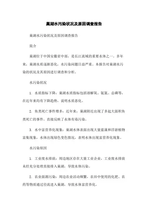 巢湖水污染状况及原因调查报告