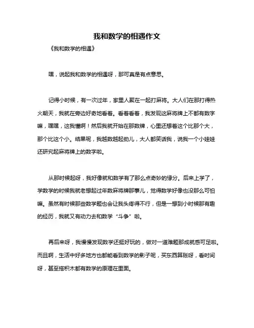 我和数学的相遇作文