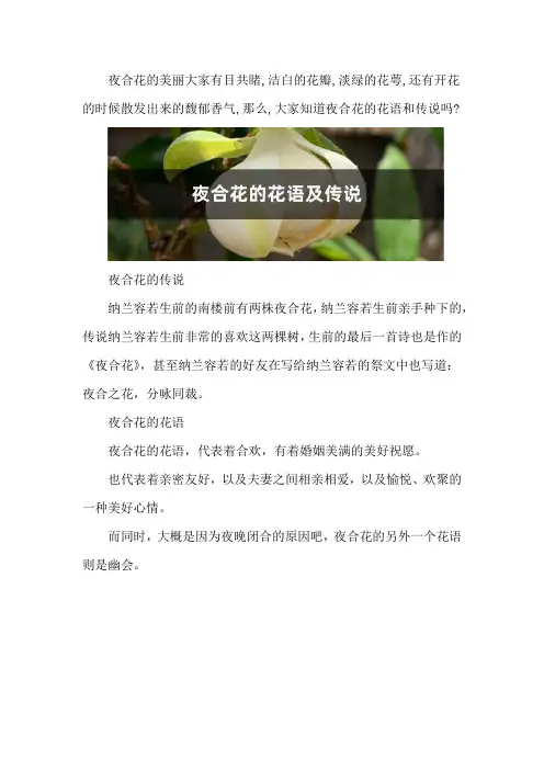 夜合花的花语及传说