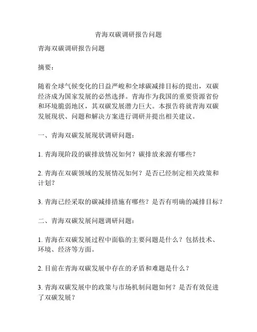 青海双碳调研报告问题