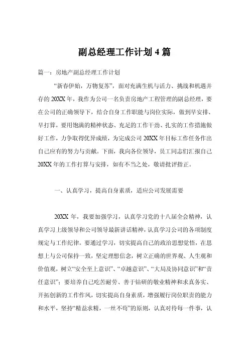 副总经理工作计划4篇