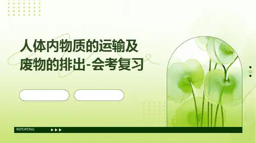 人体内物质的运输及废物的排出-会考复习
