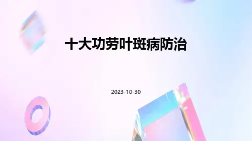 十大功劳叶斑病防治