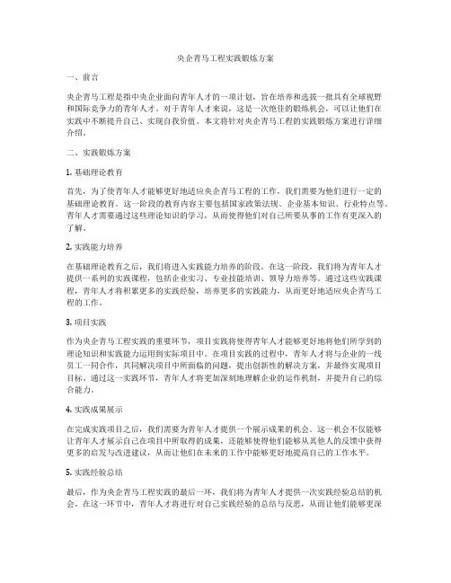 央企青马工程实践锻炼方案