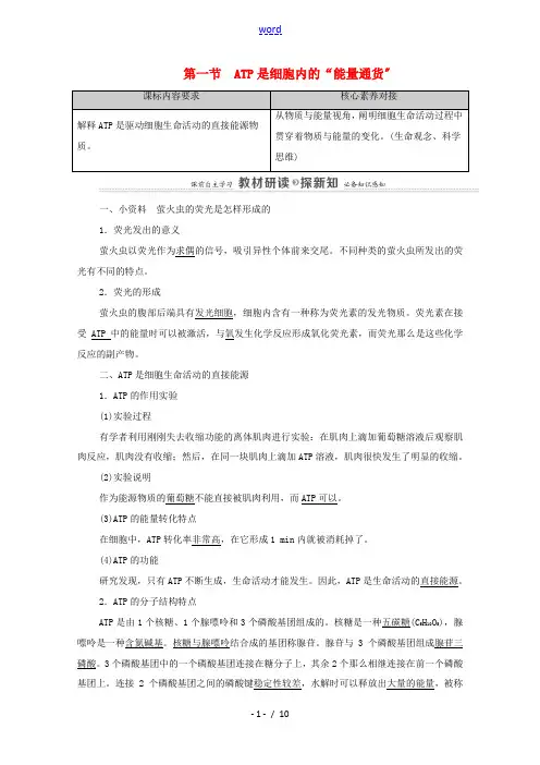高中生物 第3章 细胞的代谢 第1节 ATP是细胞内的“能量通货”教案 浙科版必修第一册-浙科版高中