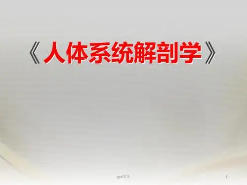 人体结构功能  ppt课件
