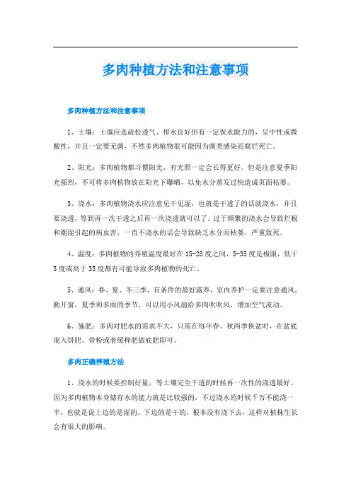 多肉种植方法和注意事项