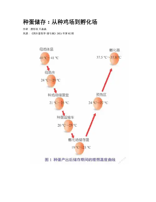 种蛋储存：从种鸡场到孵化场