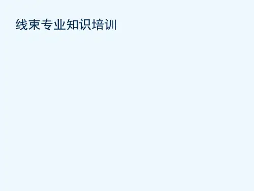 线束专业知识培训