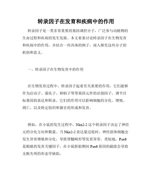 转录因子在发育和疾病中的作用