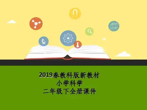 教科版小学二年级下册科学全册课件