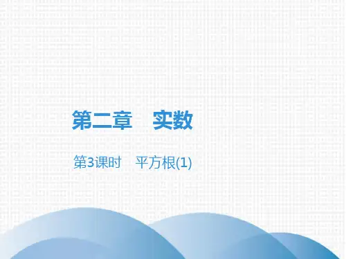第2章第3课时 平方根(1)-北师大版八年级数学上册课件(共17张PPT)