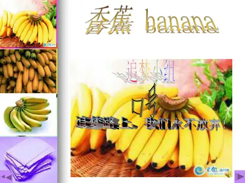 关于水果的PPT课件