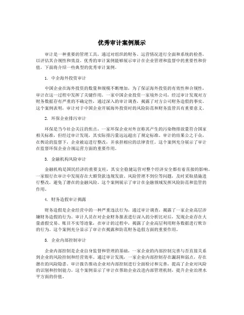 优秀审计案例展示