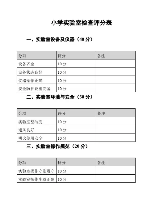 小学实验室检查评分表