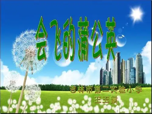 五年级语文下册优秀课件7.1《会飞的蒲公英》长春版 (共21张ppt)