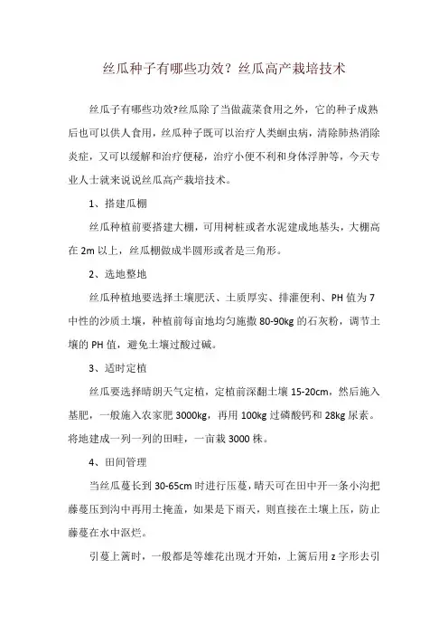 丝瓜种子有哪些功效？丝瓜高产栽培技术