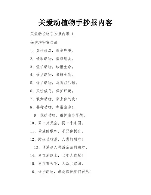 关爱动植物手抄报内容