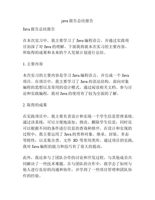 java报告总结报告