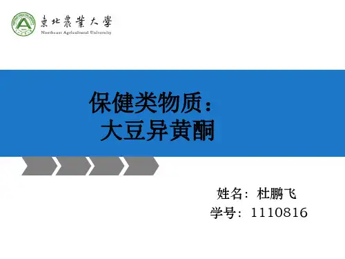 大豆异黄酮.ppt