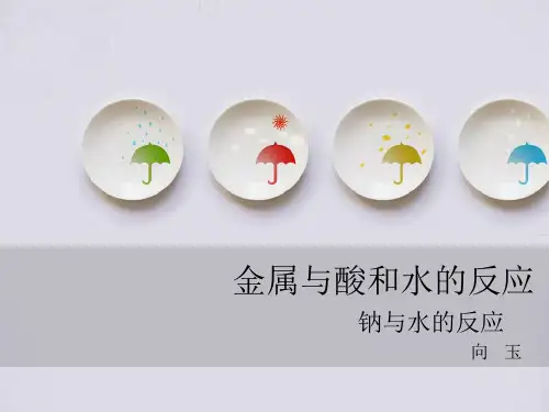 钠与水的反应可爱清新ppt