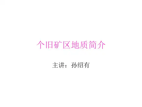 个旧矿区地质简介2.