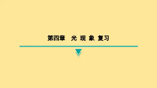 第四章 光现象 复习课件 2024-2025学年人教版(2024)物理八年级上册