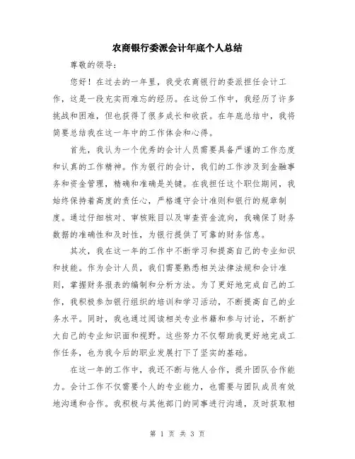 农商银行委派会计年底个人总结