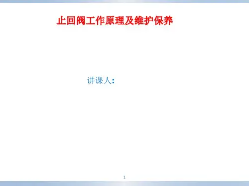 止回阀培训ppt课件